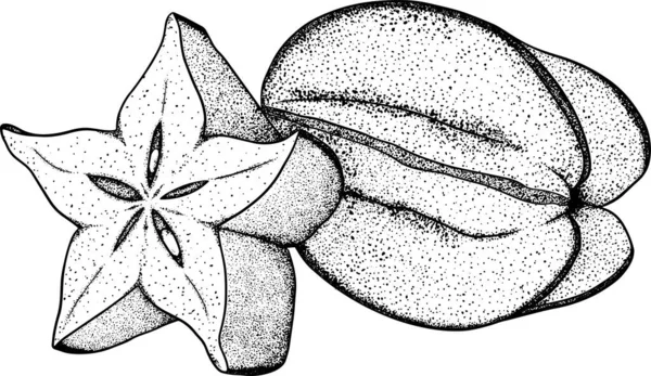 Karamboly Kousek Karamboly Exotické Tropické Ovoce Vektorová Ruční Kresba Skica — Stock fotografie