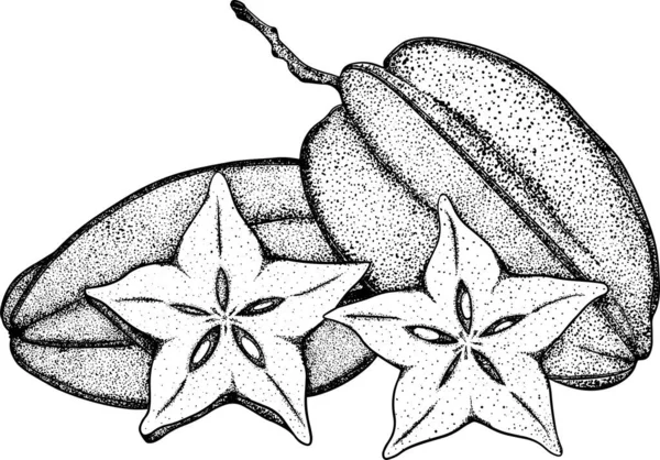 Karambola Egy Szelet Karambola Egzotikus Trópusi Gyümölcs Kézzel Rajzolt Vektor — Stock Fotó