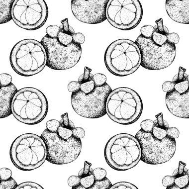 Elle çizilmiş mangosteen meyvesiz desen. Taze organik gıda. Robot resimli vektör illüstrasyonu.