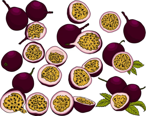 Vector Dibujado Mano Conjunto Frutas Pasión Ilustración Fruta Pasión Deliciosos —  Fotos de Stock