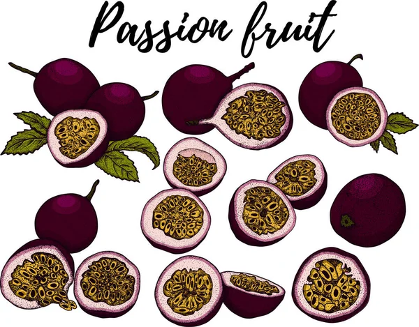 Vector Dibujado Mano Conjunto Frutas Pasión Ilustración Fruta Pasión Deliciosos —  Fotos de Stock