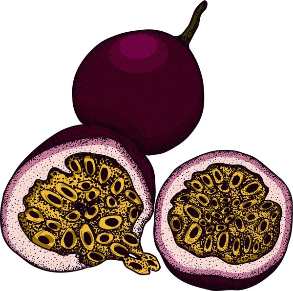 Vektor Kézzel Rajzolt Készlet Golgotavirág Gyümölcs Gyümölcsös Illusztráció Ízletes Trópusi — Stock Fotó