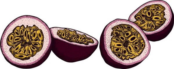 ベクトルハンドは情熱の果物のセットを描いた パッションフルーツのイラスト おいしい熱帯ベジタリアンオブジェクト レストラン メニュー スムージーボウル パーティーの装飾のための使用 — ストック写真