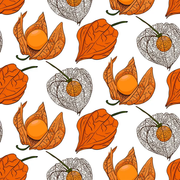 Hand drawn physalis seamless pattern, plant and fruit. Tomatillo pattern. Superfood. Vector hand drawn set illustration.