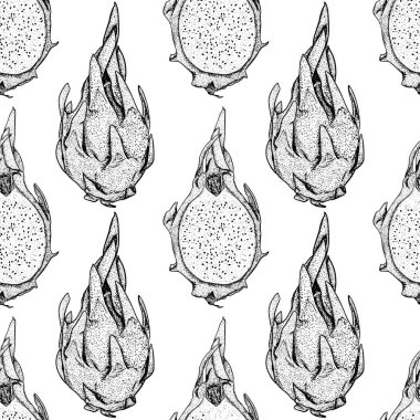 Vektör el, pitaya 'nın kusursuz desenini çizmiş. Ejderha meyvesi çizimi. Lezzetli tropikal vejetaryen deseni. Restoran, menü, meyve suyu kasesi, market, mağaza, parti dekorasyonu, yemek için kullan
