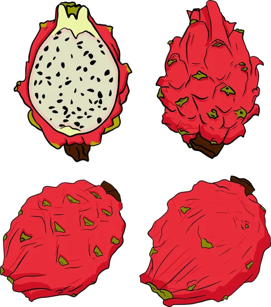 Conjunto Dibujado Mano Vectorial Pitaya Dragón Ilustración Frutas Deliciosos Objetos —  Fotos de Stock