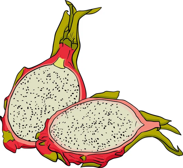 Conjunto Dibujado Mano Vectorial Pitaya Dragón Ilustración Frutas Deliciosos Objetos —  Fotos de Stock