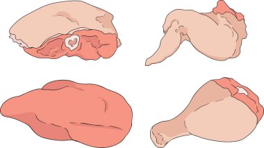 Detaylı dokuları olan çeşitli ham et kesimlerinin renkli vektör çizimleri. Vektör illüstrasyonu