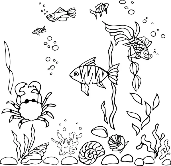 Sketsa ikan akuarium - Stok Vektor