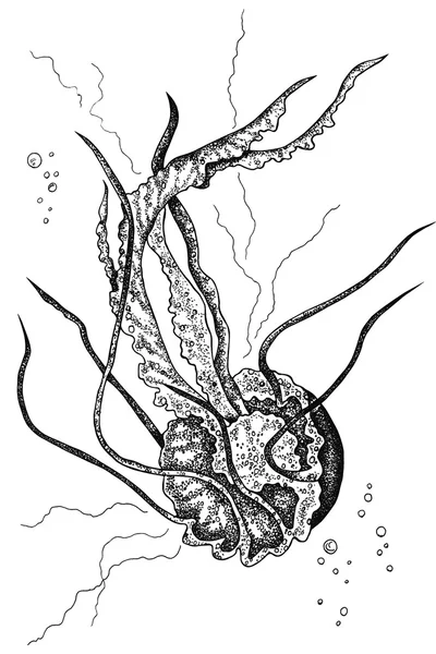 Hand drawn jellyfish — Stock Photo, Image