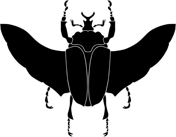 Exotic beetle silhouette — Stock Vector