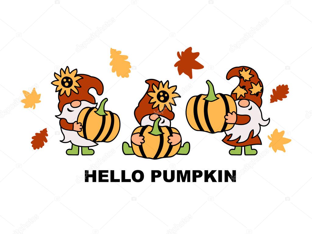 Three gnomes with pumpkin, sunflower and autumn leaves are on white background. Hello pumpkin. Vector illustration.