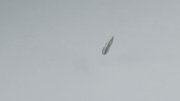 graines de tournesol tombant au ralenti 