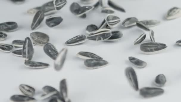 Sunflower seeds falling in slow motion — Stock Video