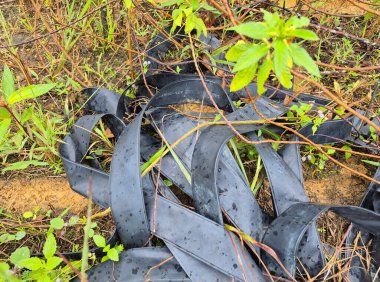 kauçuk plastik poşet