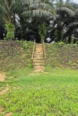 Yeşil çimlere giden yol.