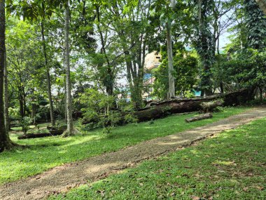 Parkın güzel manzarası