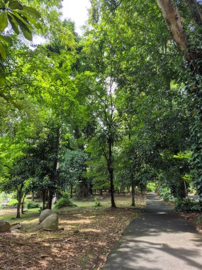 Parkın güzel manzarası