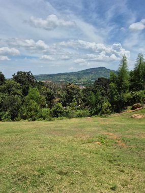 Güzel bir manzara manzarası