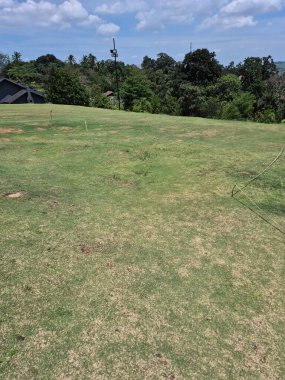 Mavi gökyüzü ve bulutlu yeşil alan