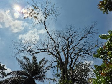 Doğanın güzel manzarası