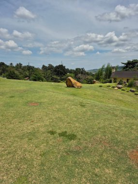 Mavi gökyüzünün altındaki büyük yeşil çimlerin dikey görüntüsü.