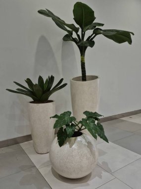 İçi bitkilerle dolu beyaz seramik kap.