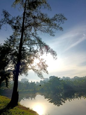 Parkta güzel bir gün batımı