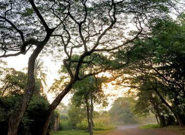 Parkın güzel manzarası