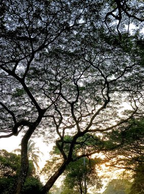 Şehir parkının güzel manzarası