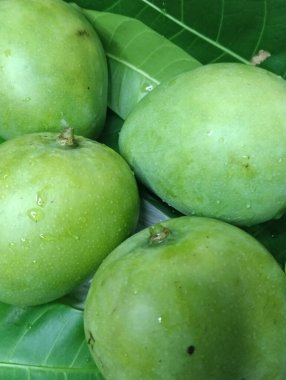 Beyaz arka planda taze yeşil elmalar