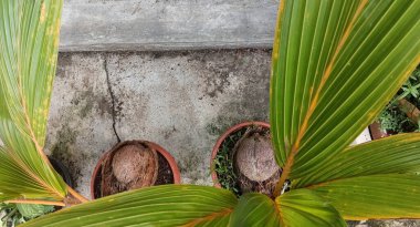 Eski kirli metal ayakkabılar