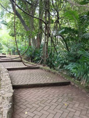 Parkın güzel manzarası