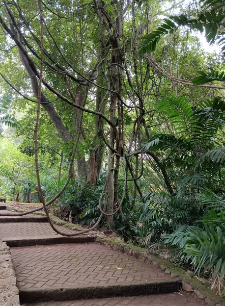 Parkın güzel manzarası