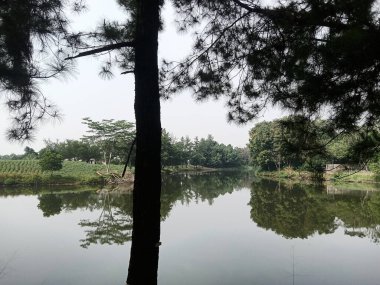 Göllü güzel bir manzara.