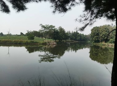 Güzel göl manzarası