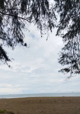 Deniz kıyısının güzel manzarası