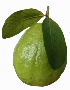 Beyaz arka planda yaprakları olan taze olgun Ava meyveleri.