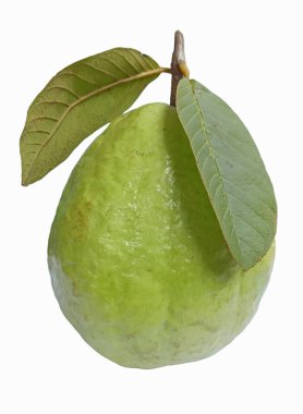 Beyaz arka plan üzerinde izole yaprak yeşil armut