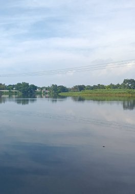 Nehir ve ağaçlarla dolu güzel bir manzara