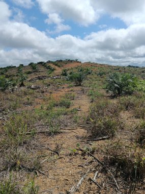 Dağların güzel manzarası