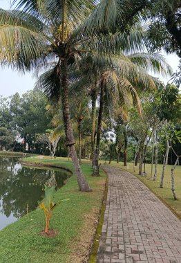 Şehirdeki güzel tropikal park