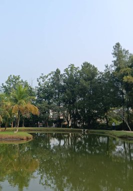 Parkın güzel manzarası