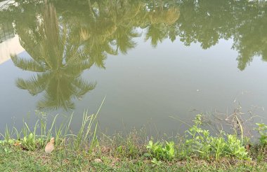 Güzel göl manzarası