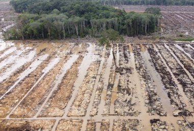 Brezilya 'daki çiftliğin havadan görünüşü