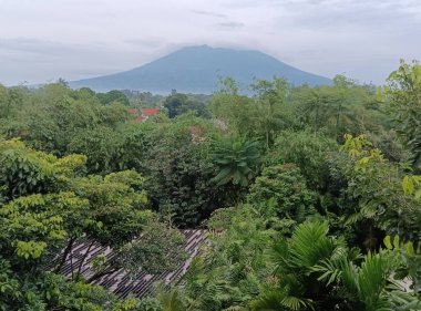 Dağın tepesinden manzara