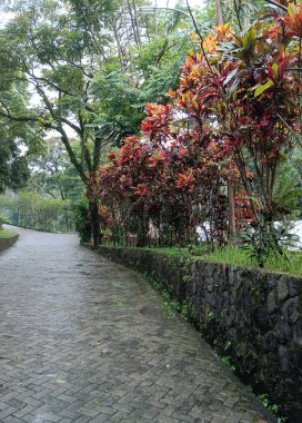 Parkın güzel manzarası