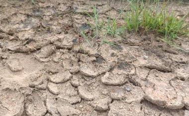 Toprak ve kuru toprak