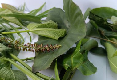 Bir sürü bitki ve çiçekli yeşil yaprak.