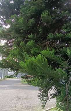 vektör modern soyut çember arka planı